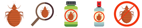 Pest Control in Borivali