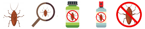 Best Cockroach Pest Control in Borivali
