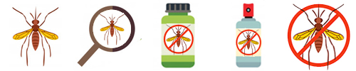 Pest Control in Borivali